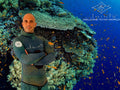 Adjustable jacket pad with Velcro on the Reef Camo Spearfishing Wetsuit